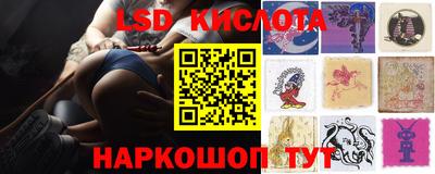 гидра Краснодар