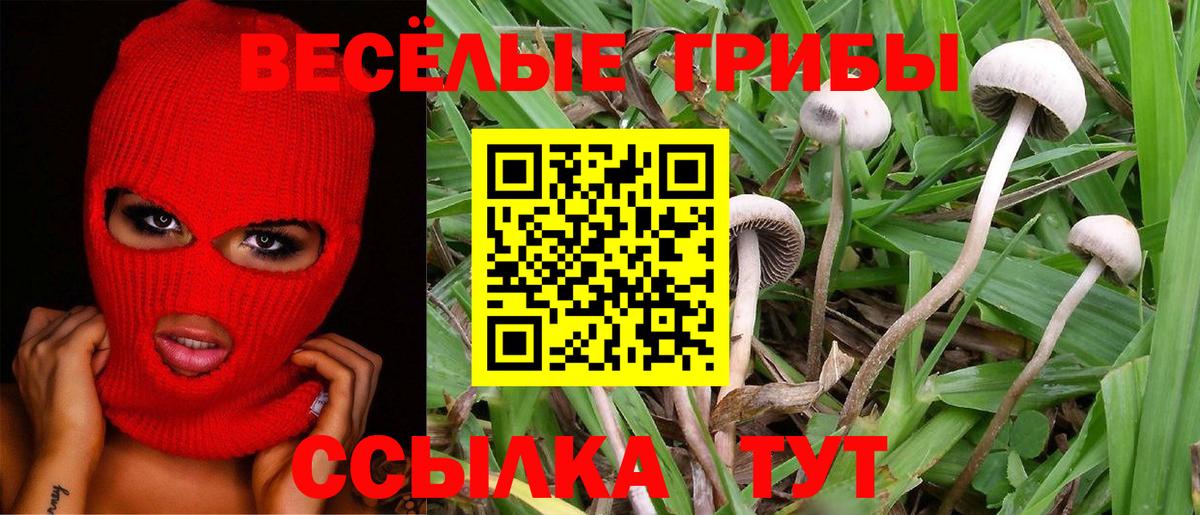 Псилоцибиновые грибы GOLDEN TEACHER  Галлюциногенные грибы Magic Shrooms  Ирбит  Вход с VPN 
